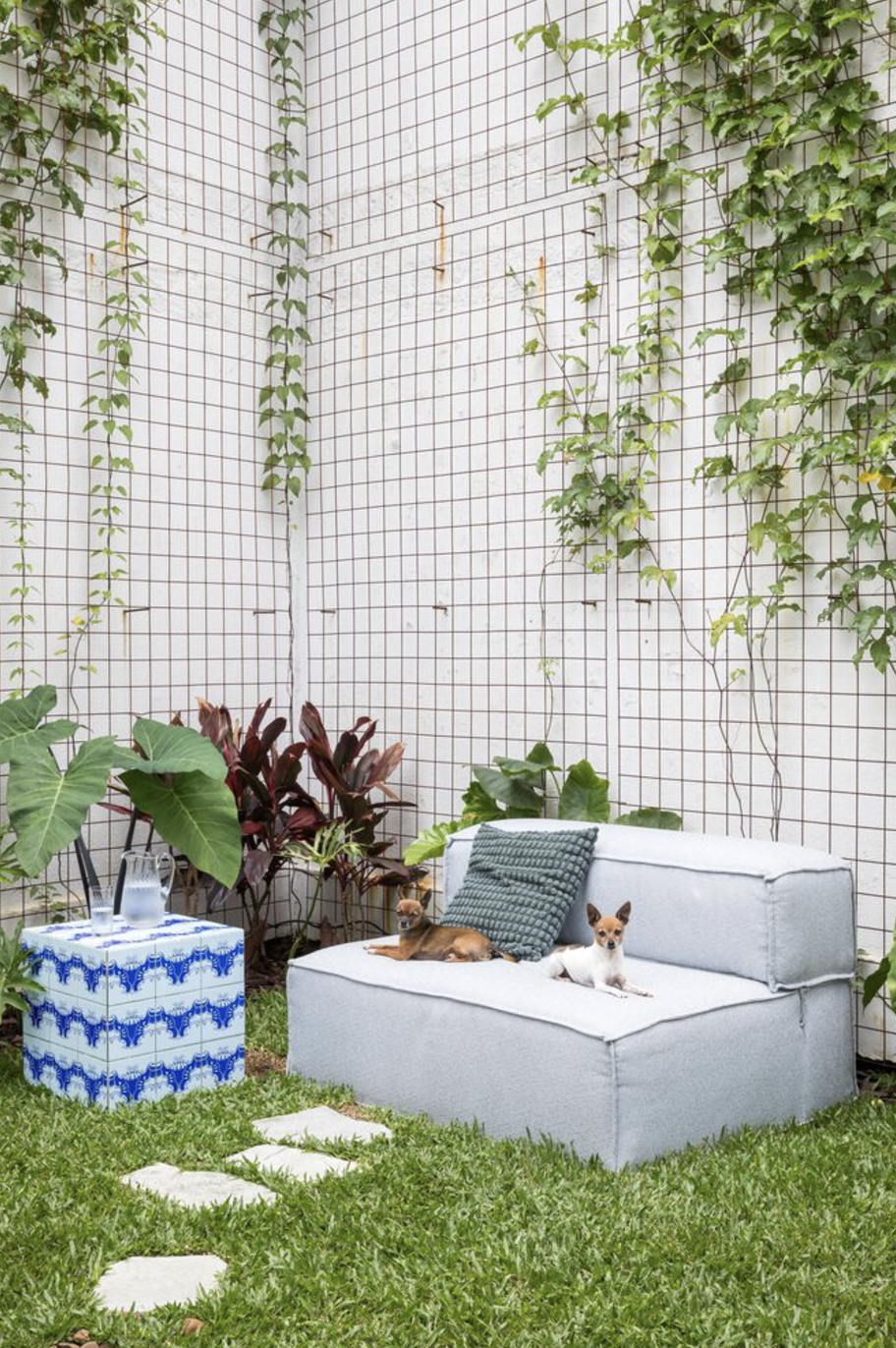 dos perros sentados en un sofa blanco