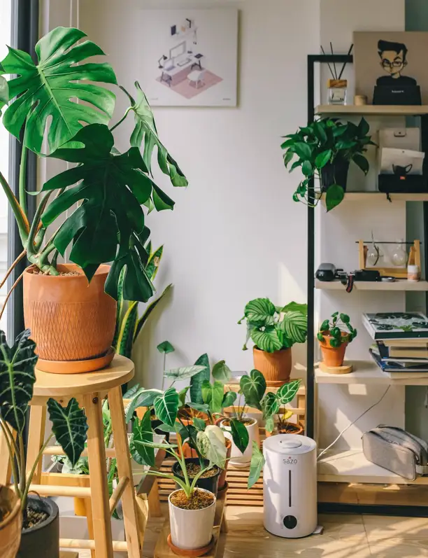 Diseño biofílico en espacios pequeños: cómo crear un refugio natural en pisos urbanos