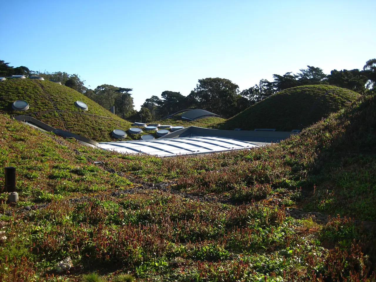 Cubierta verde de la Academia de Ciencias de California, San Francisco