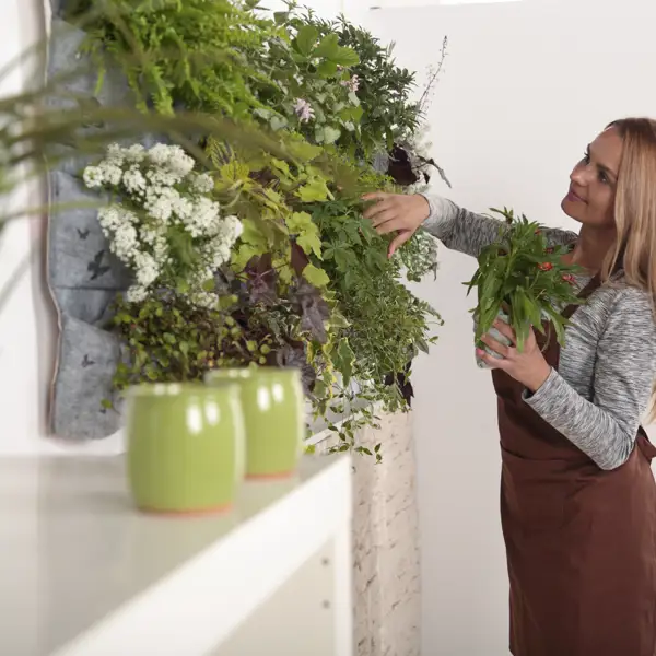 Jardines verticales en pisos pequeños: ventajas, cuidados y consejos de una paisajista para transformar el interior de tu casa