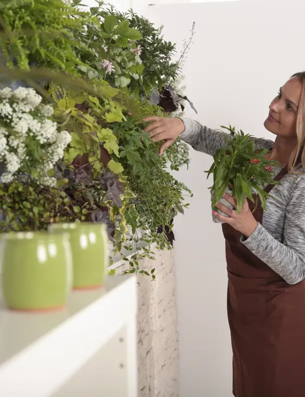 Jardines verticales en pisos pequeños: ventajas, cuidados y consejos de una paisajista para transformar el interior de tu casa