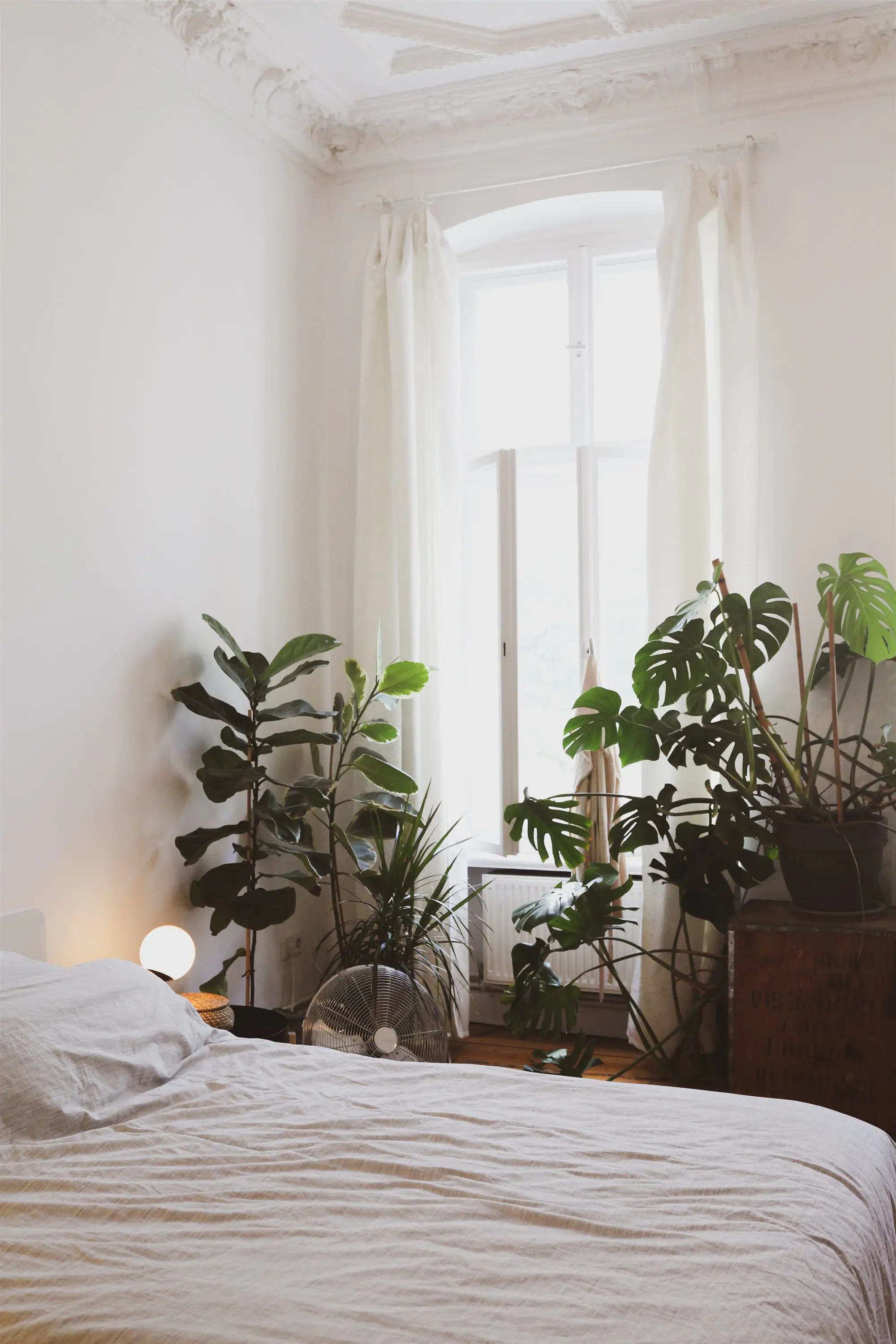 Dormitorio con plantas