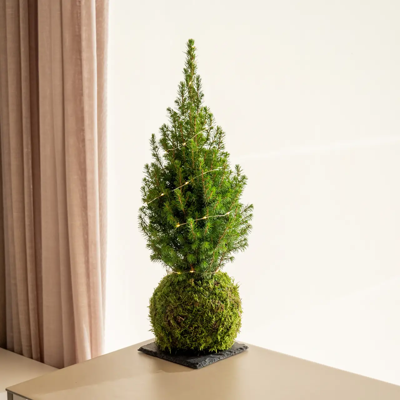 Mini abeto Kokedama luces