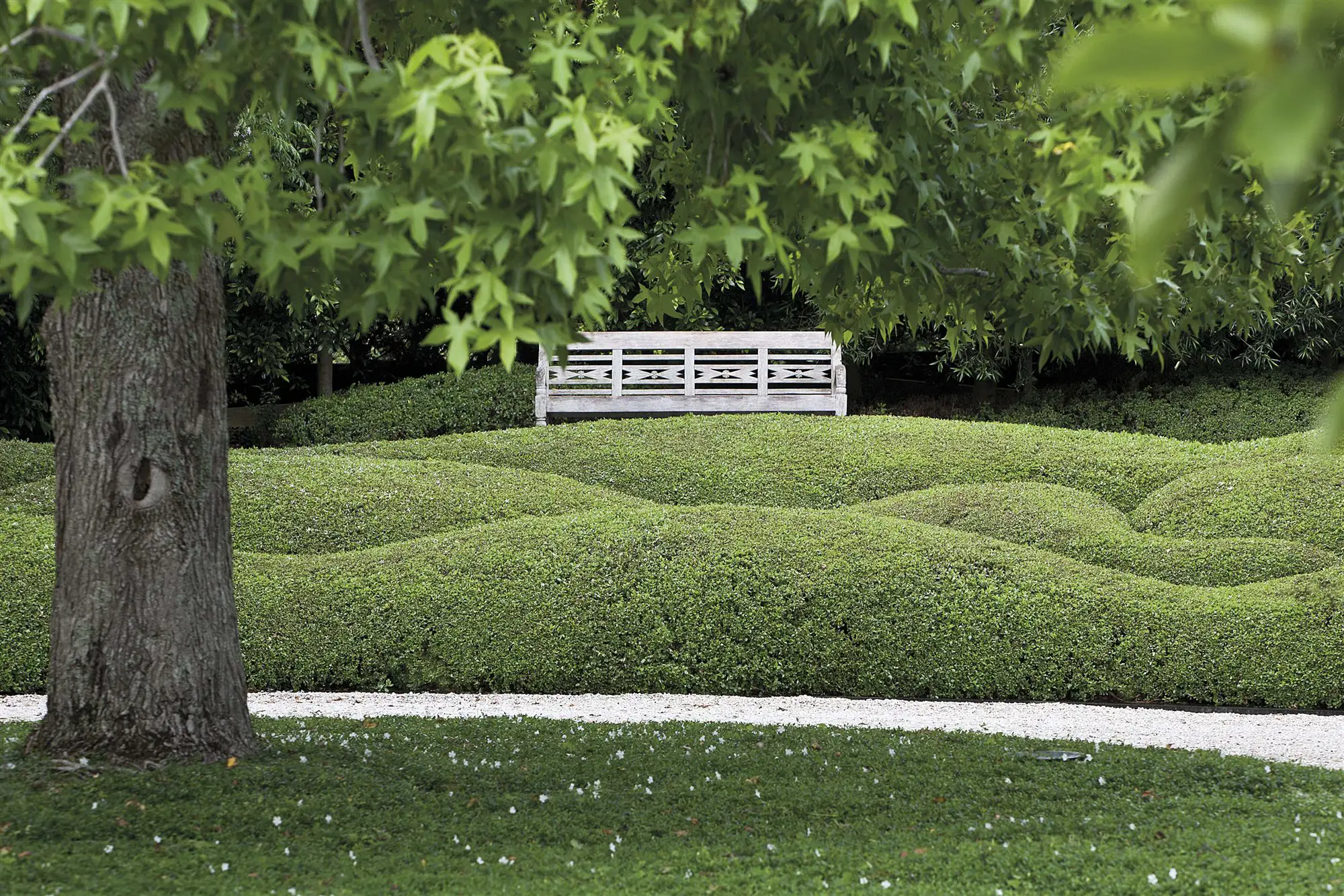 Jardín minimalista de composición ordenada y armoniosa