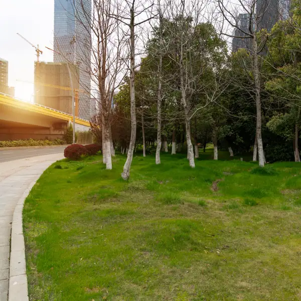 Jonathan Bedoya, paisajista, sobre los microbosques: "Las ciudades no le dan importancia a las ventajas de los entornos verdes"