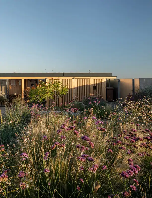 Jardinería regenerativa: Descubre qué es y qué puedes hacer por el medioambiente (empezando por tu jardín)