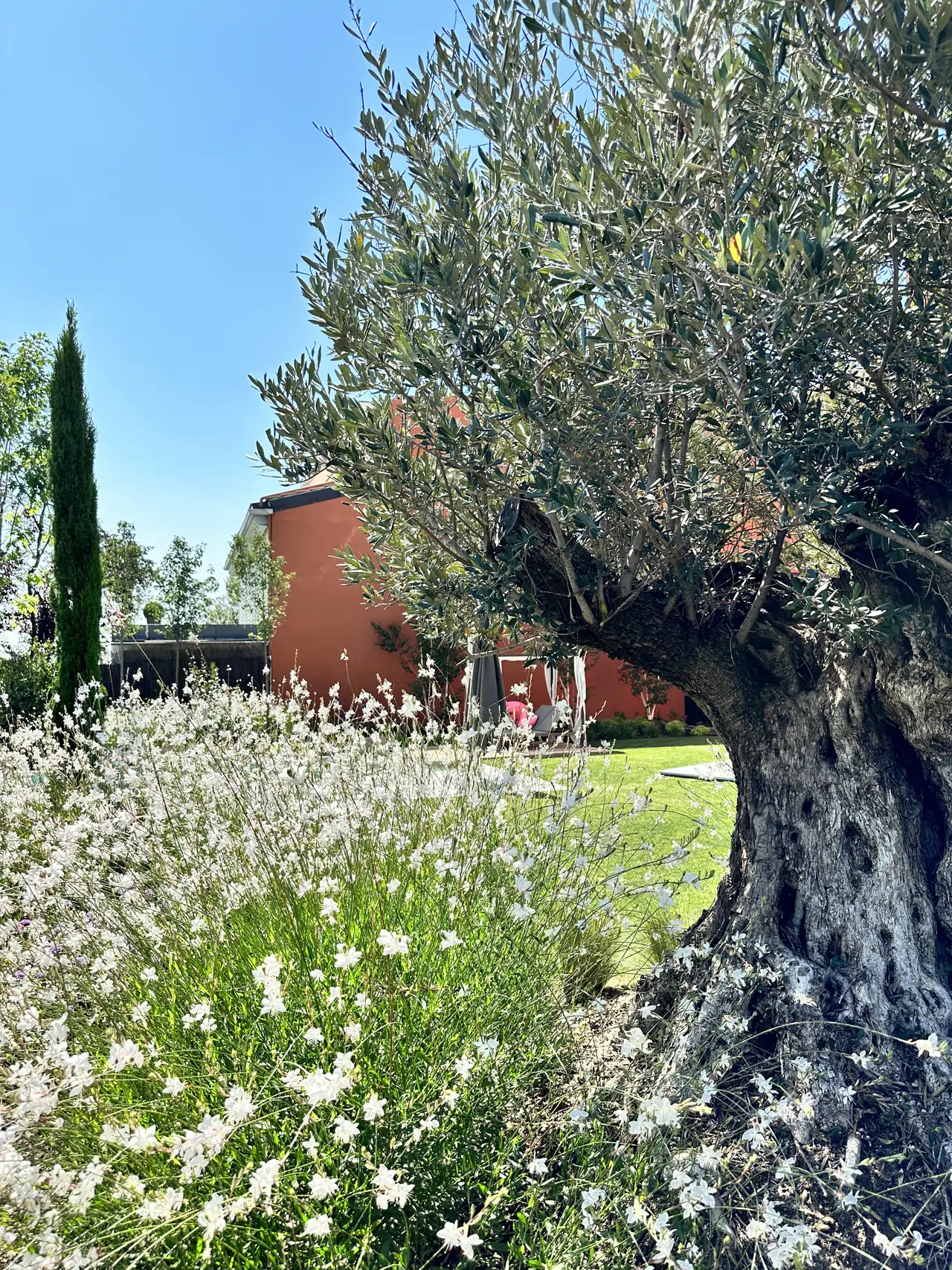 Que todo el jardín tenga utilidad es importante; también pensar en el uso de cada zona del jardín