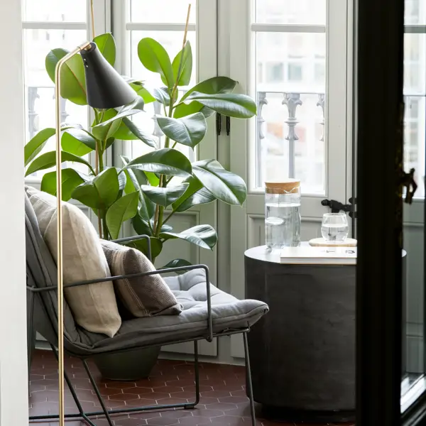 Ni geranios, ni lavandas: la planta con flor poco conocida que resiste todo el año y decora balcones pequeños