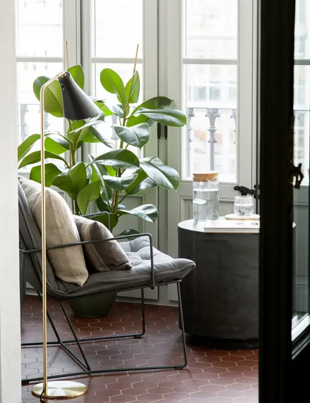 Bigonia: la planta con flor resultona que resiste todo el año y decora balcones pequeños