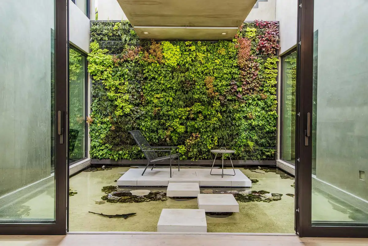 Jardin vertical en casa