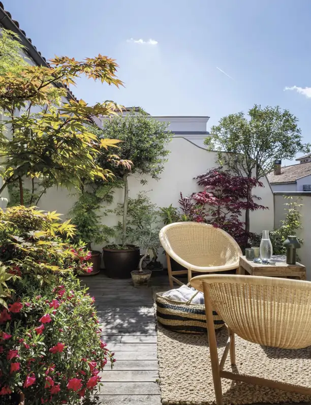 Terrazas con plantas bonitas: acierta seguro con estas ideas inspiradoras para decorar tu espacio exterior