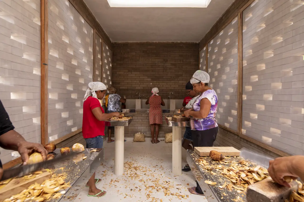 Mujeres trabajando en el centro de cosechado de coco en Brasil proyectado por Estudio Flume