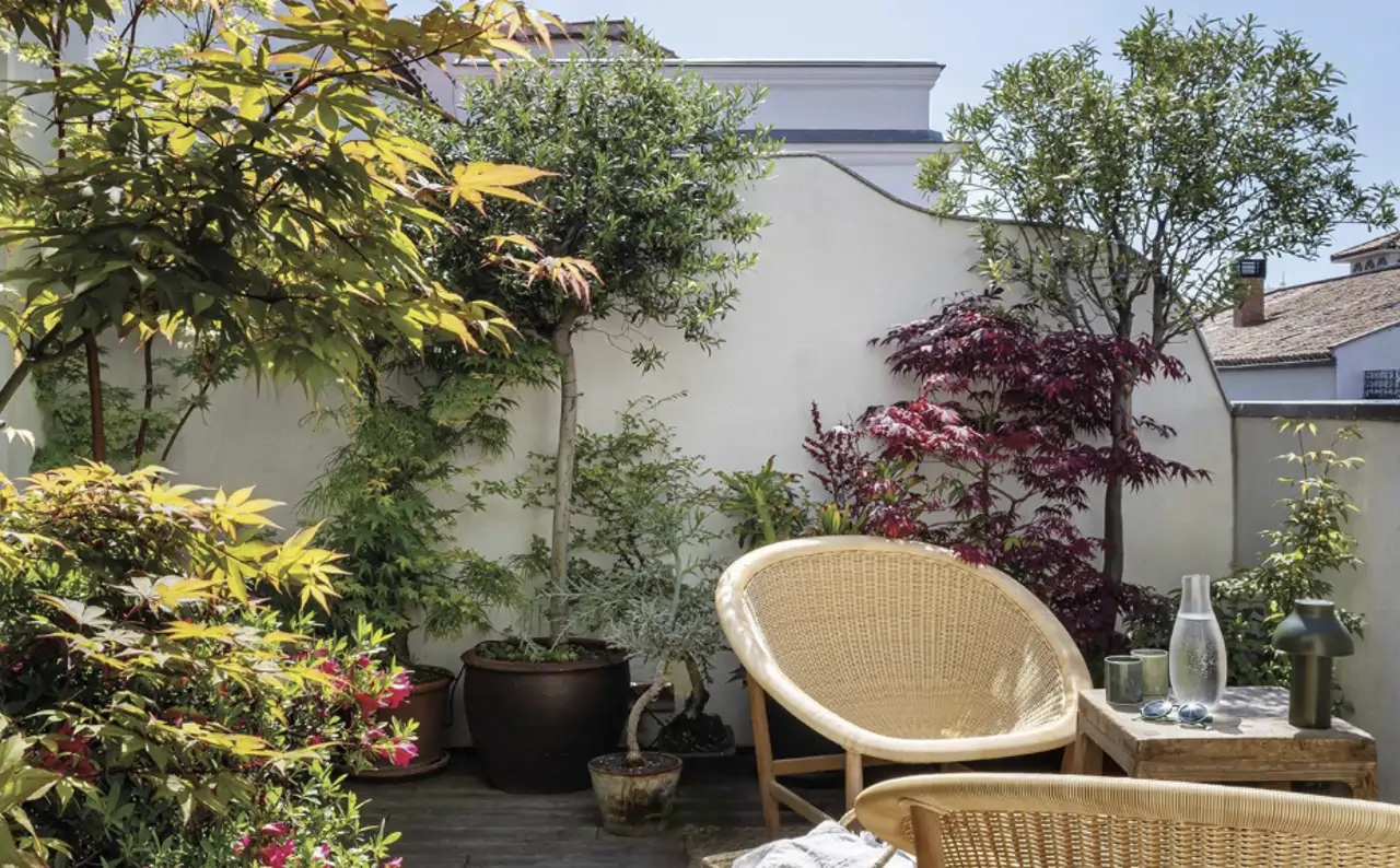 Terraza con plantas de un ático