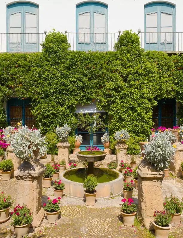 Los 7 patios andaluces más bonitos que merece la pena visitar esta primavera