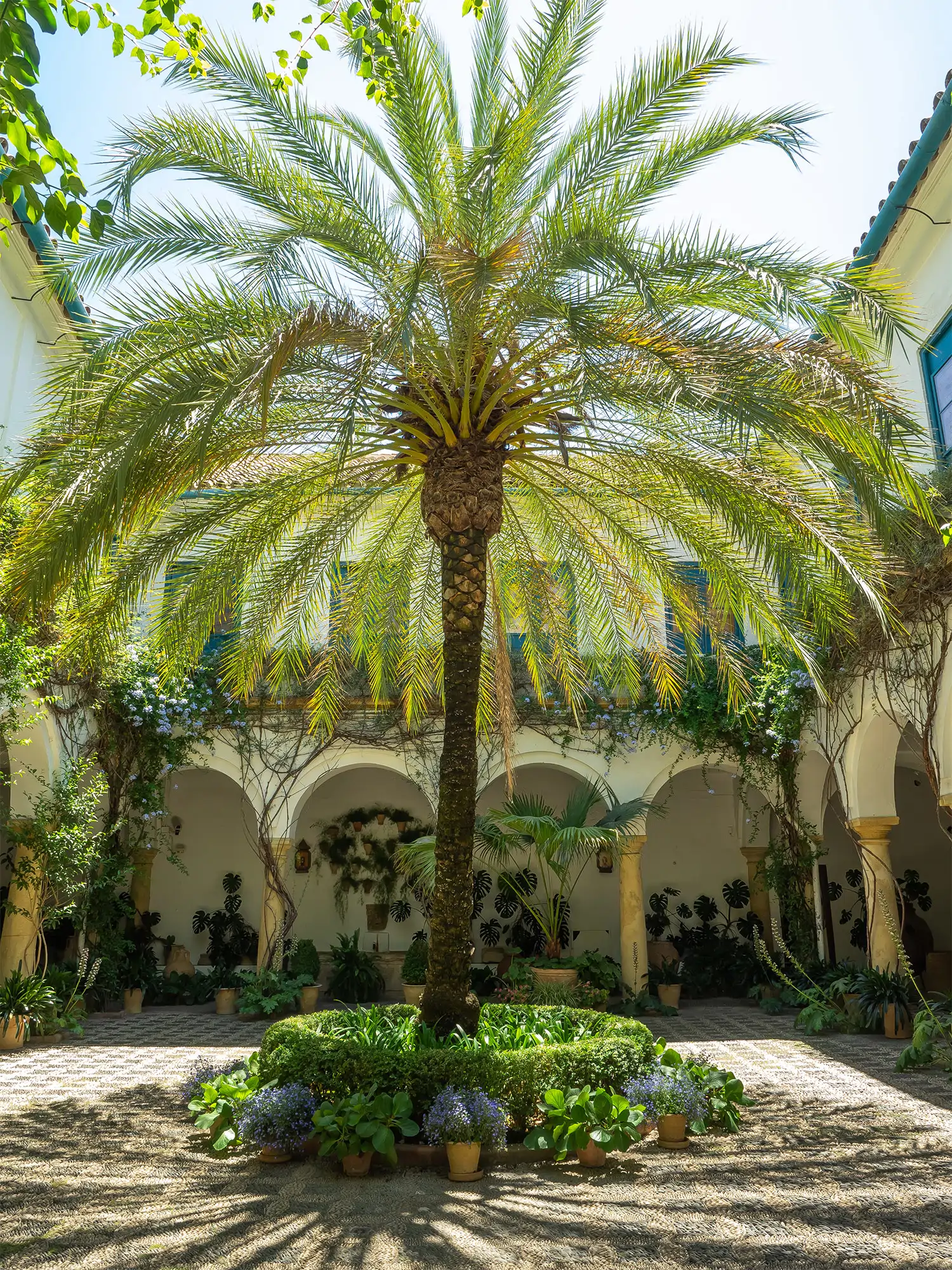 Patio de Recibo del Palacio de Viana, Córdoba