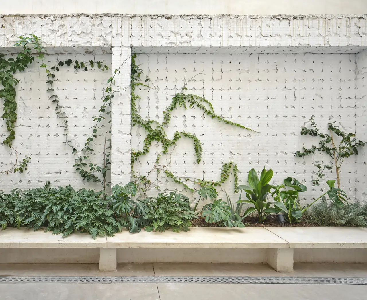 En el patio, los arquitectos han diseñado una jardinera lineal con un banco corrido visible desde cualquier lugar del interior.