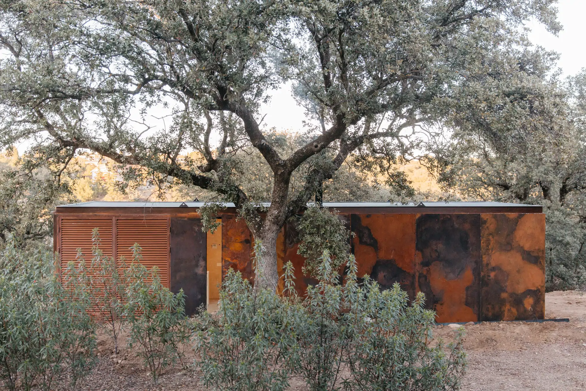 cabana de madera debajo de un arbol