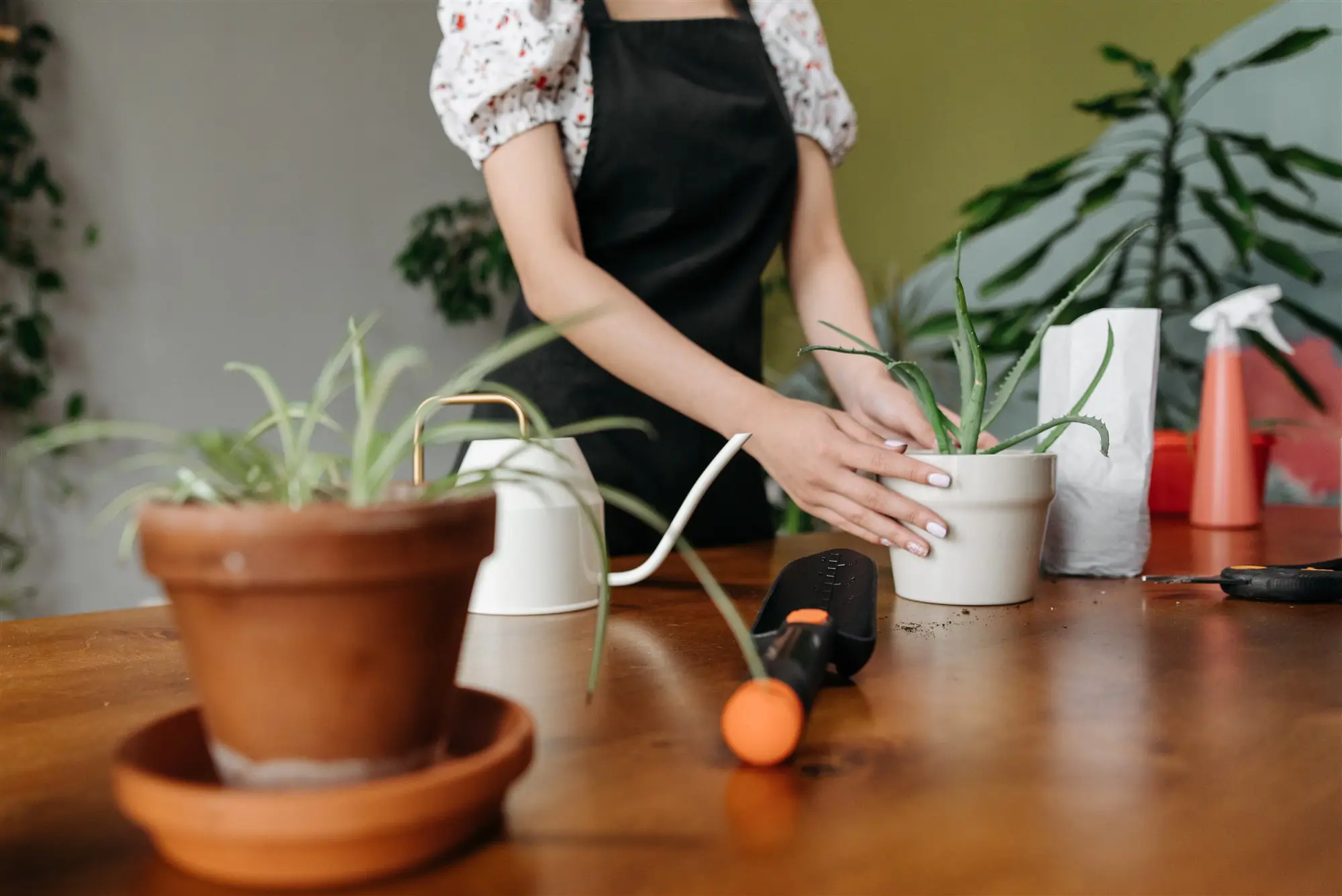 Las macetas de barro o terracota son perfectas para replantar