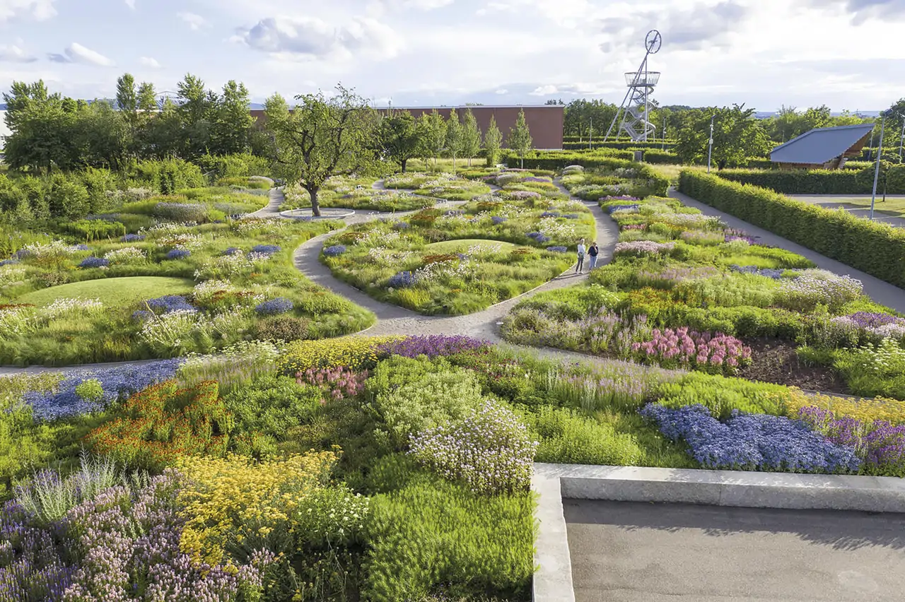 Este jardín diseñado por Piet Oudolf en el Campus Vitra en Weil am Rhein (2020) juega con el color, el olor y los senderos para construir un recorrido estimulante.