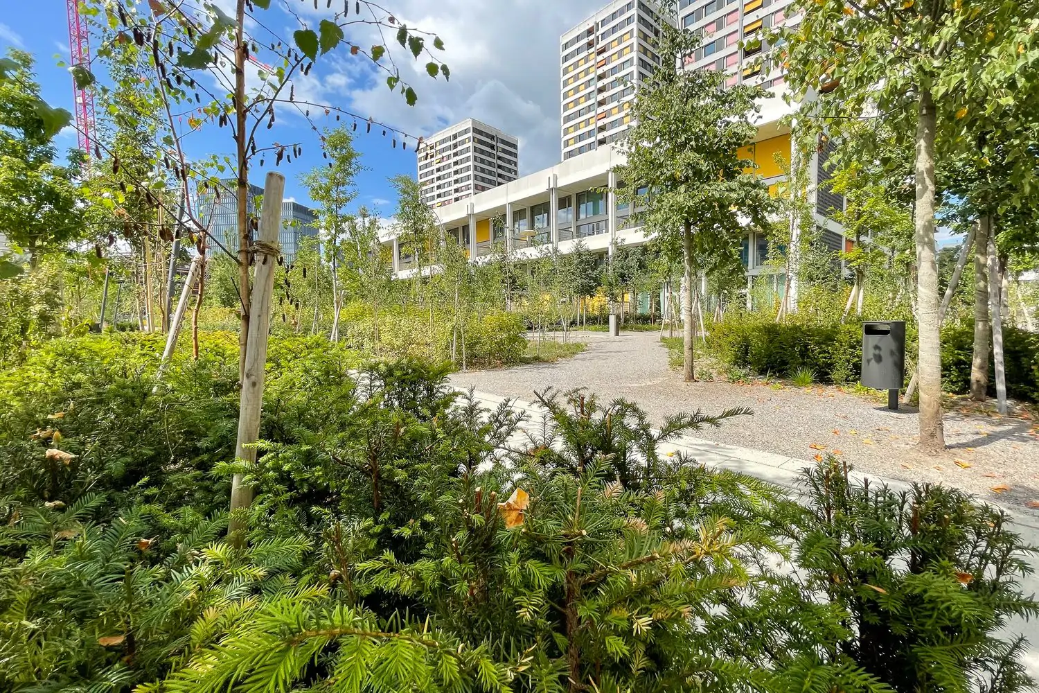 En WolkenWerk, Zúrich (2021), una red de jardines favorece la biodiversidad en una zona antes industrial y ahora residencial