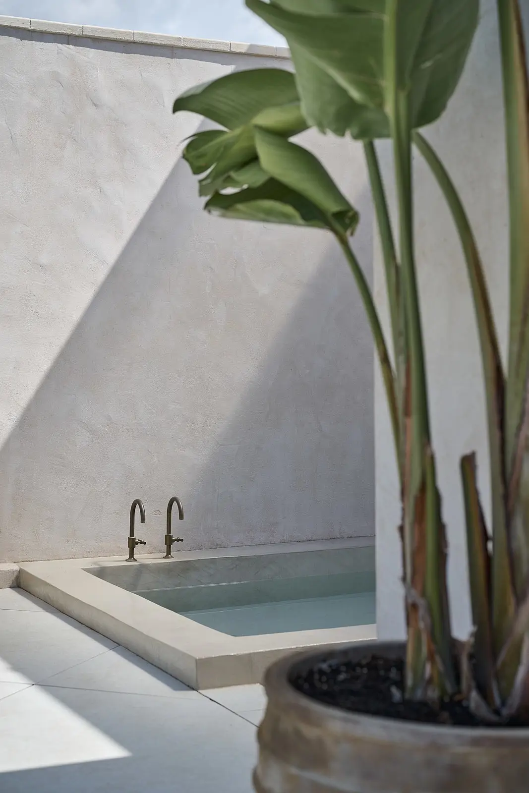 piscina con planta delante