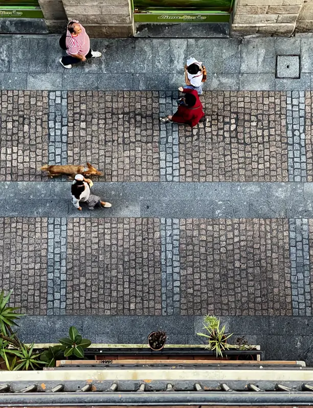 Por qué las losetas de Barcelona y Bilbao se parecen tanto y qué historia hay detrás