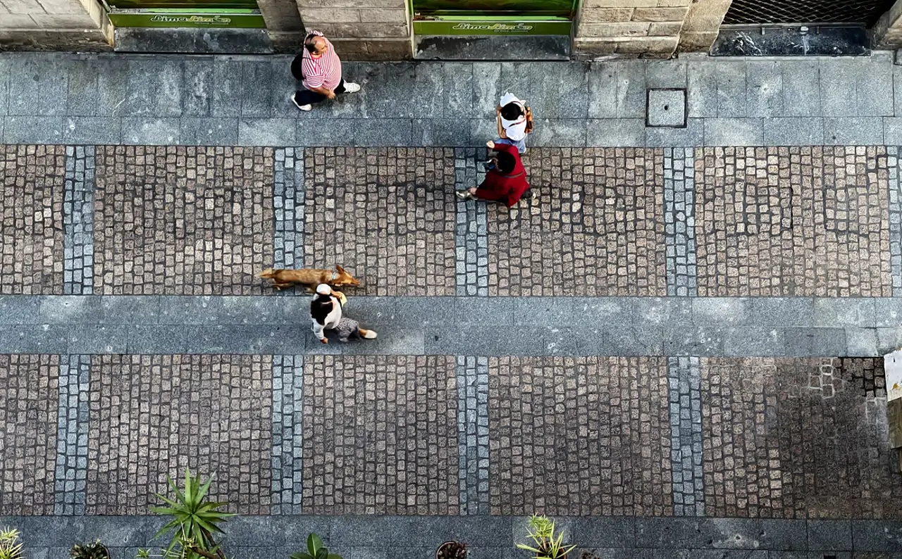 Losetas en una calle de Bilbao.