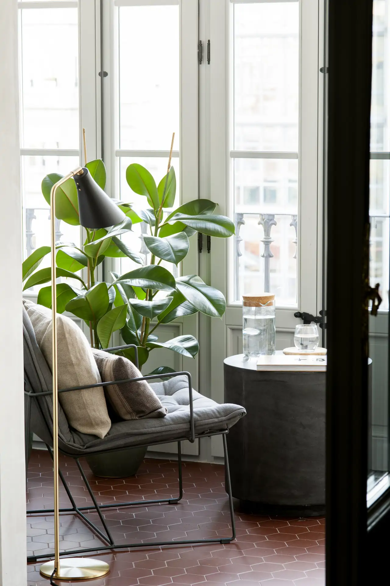 planta