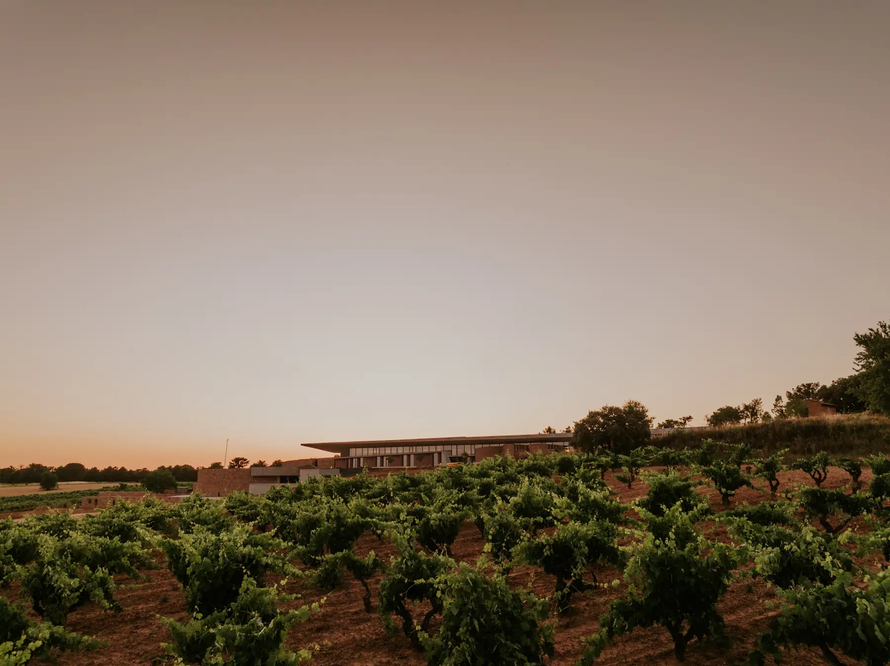 Bodegas LA HORRA
