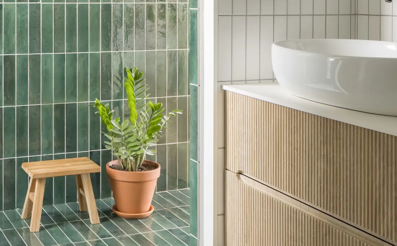 Las mejores plantas para el baño.