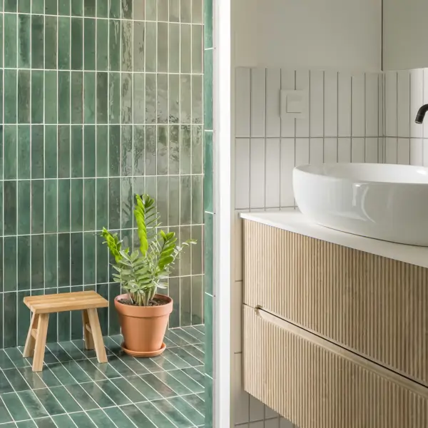 Plantas en el baño: estas son las especies que mejor se adaptan