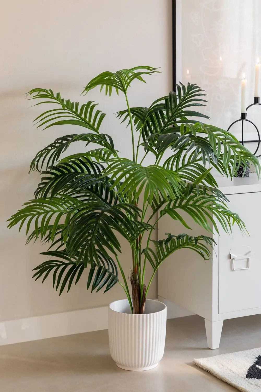 Palmera