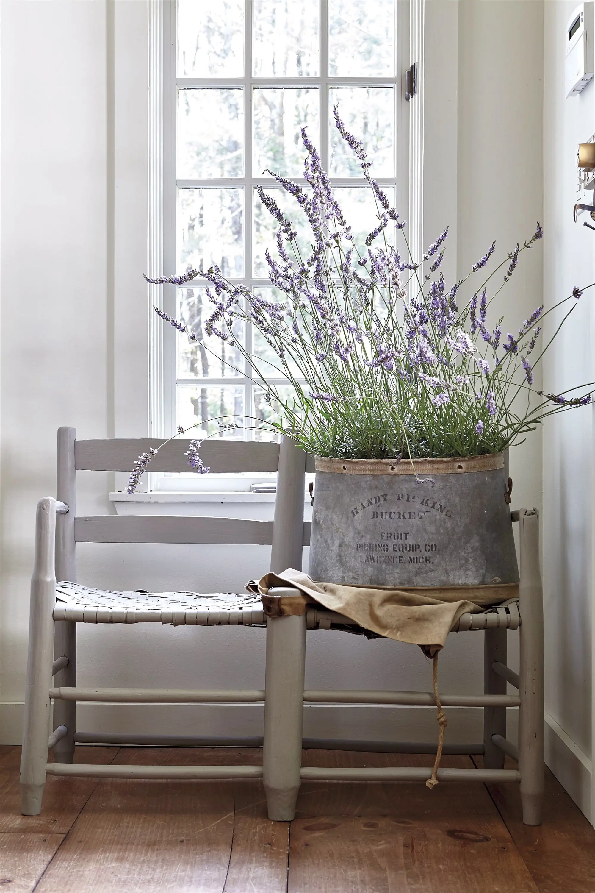 La lavanda aporta olor a fresco