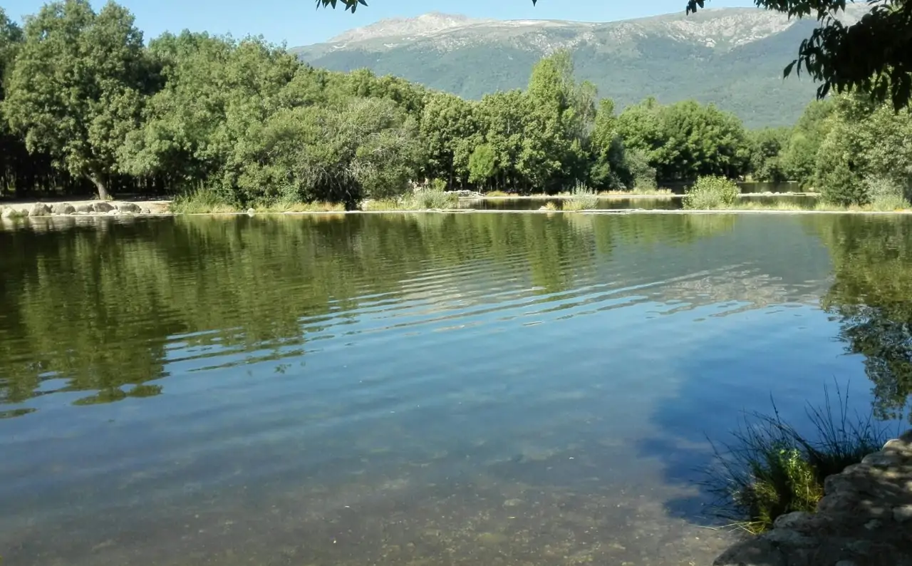 El baño está permitido en el área de las Presillas. 