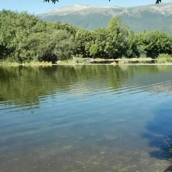 Las piscinas naturales a 1 hora de Madrid con las vistas más bonitas y poco masificadas: "Ideal para un día en familia"