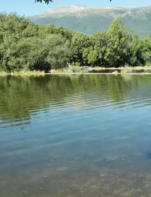Las piscinas naturales a 1 hora de Madrid con las vistas más bonitas y poco masificadas: "Ideal para un día en familia"