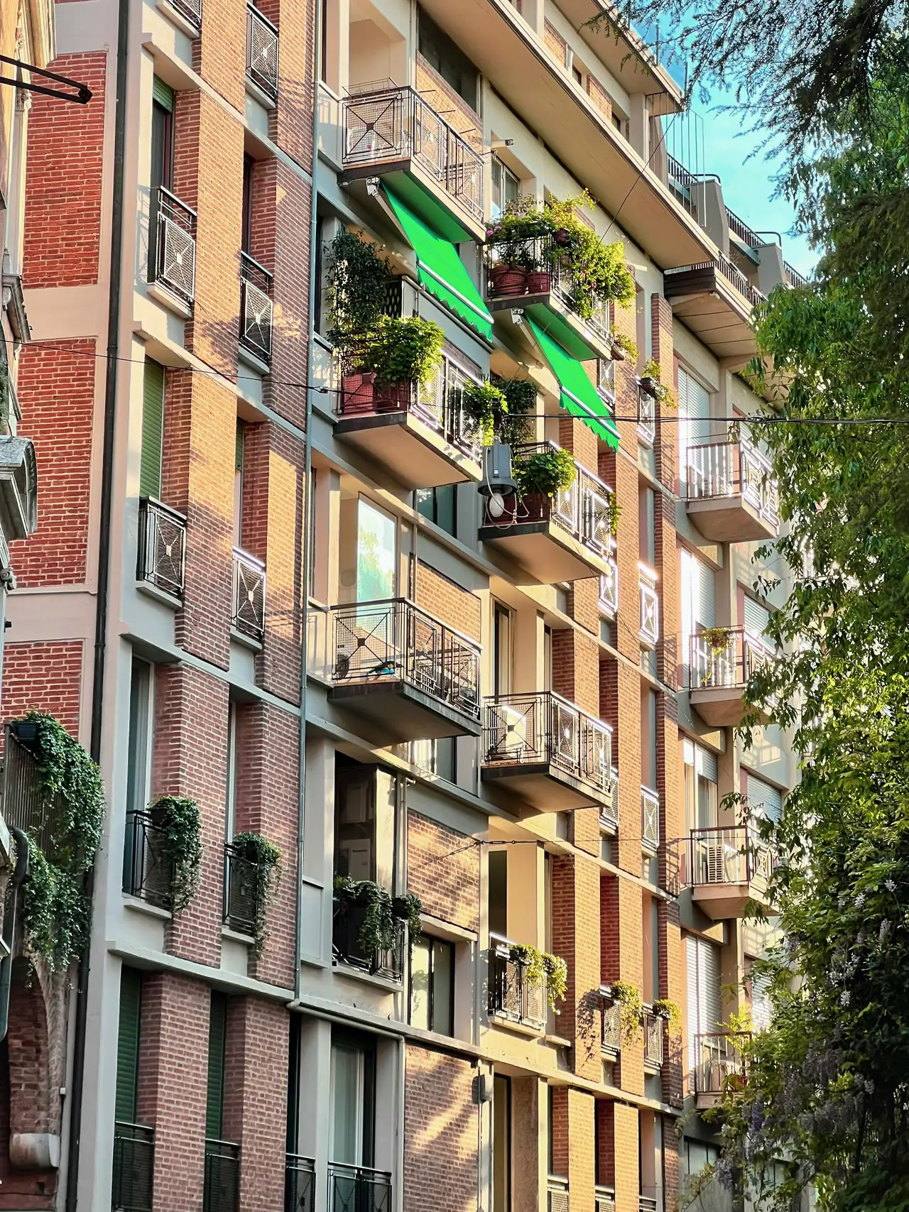 Toldos verdes